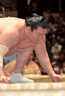 『ジャパネット杯 日本大相撲トーナメント 第四十七回大会』