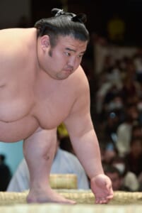 『ジャパネット杯 日本大相撲トーナメント 第四十七回大会』