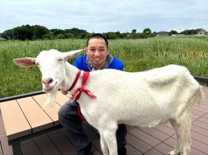 『ヤギと大悟』