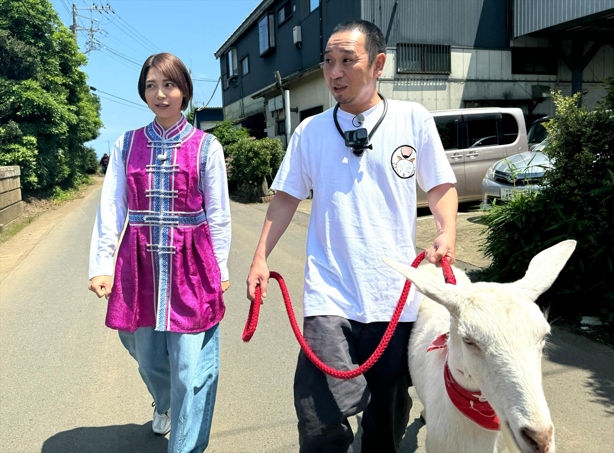 『ヤギと大悟』