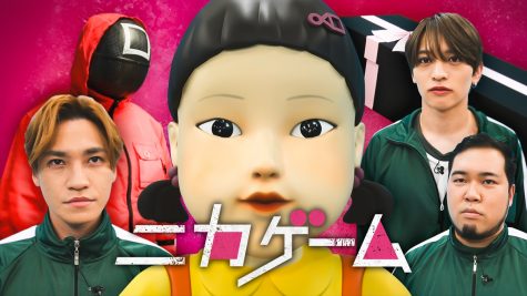 『ニカゲーム』