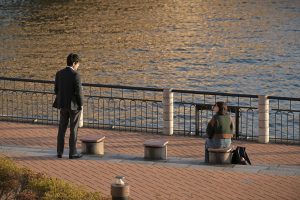 『クジャクのダンス、誰が見た？』