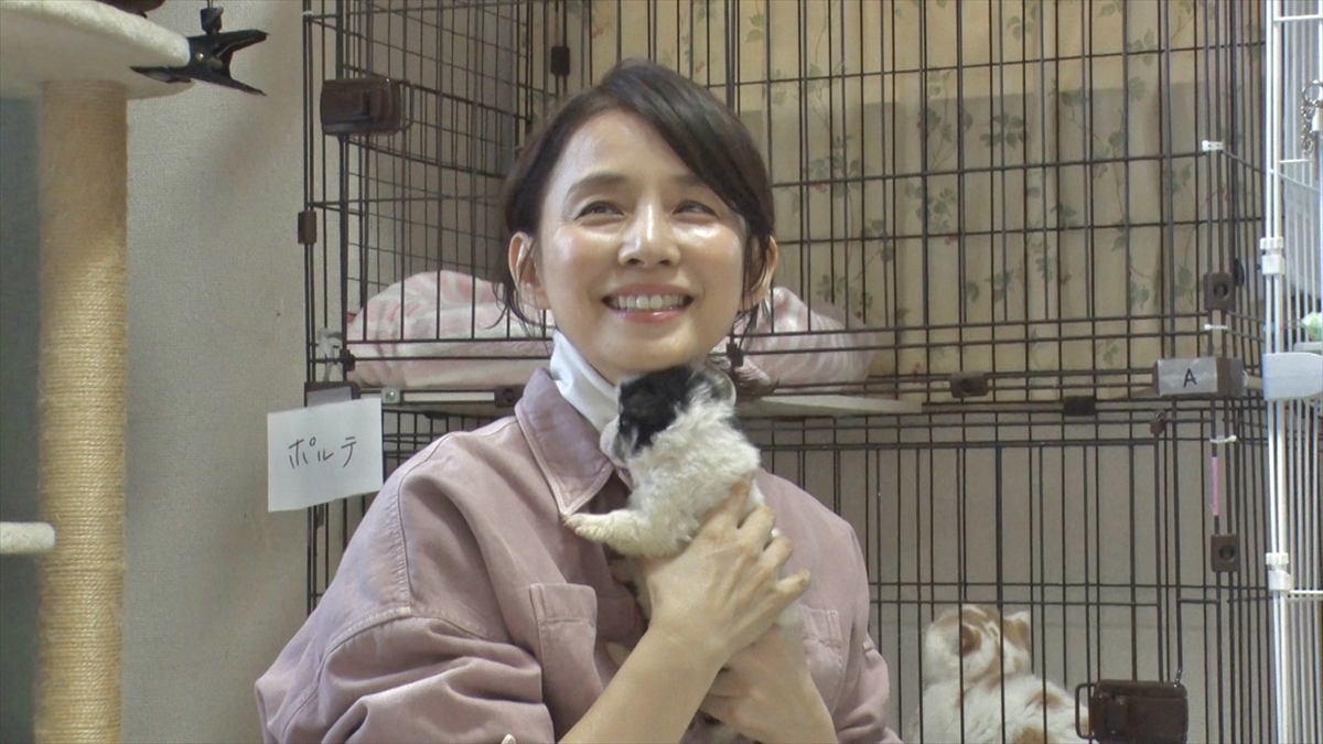 『嗚呼!!みんなの動物園2時間スペシャル』