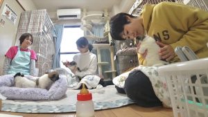 『嗚呼!!みんなの動物園2時間スペシャル』