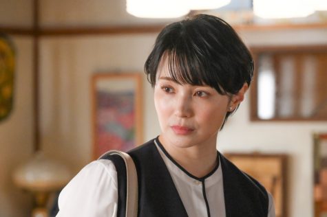 『対岸の家事～これが、私の生きる道！～』
