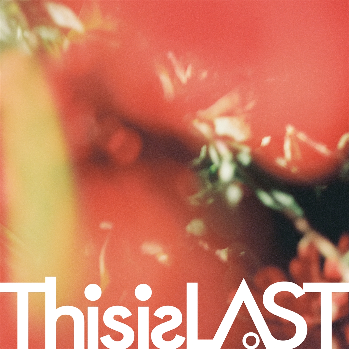 This is LAST「火の花」