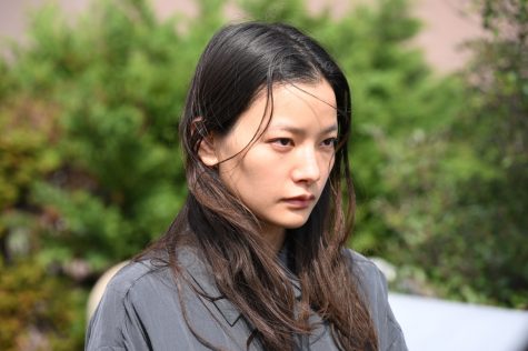 『対岸の家事～これが、私の生きる道！～』