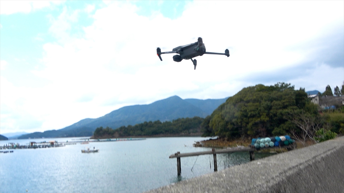 『飛んで見にいく謎の島』