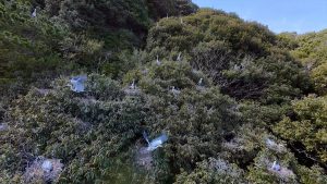 『飛んで見にいく謎の島』