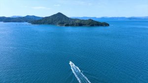 『飛んで見にいく謎の島』