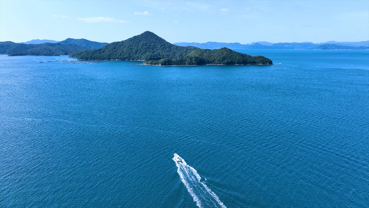 『飛んで見にいく謎の島』