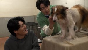 『嗚呼!!みんなの動物園』