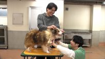 『嗚呼!!みんなの動物園』
