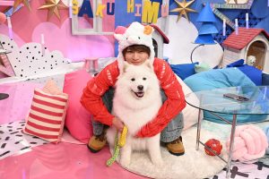 『サクサクヒムヒム　☆推しの降る夜☆』