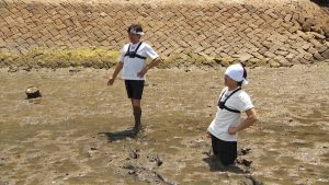 『ザ！鉄腕！DASH!!』