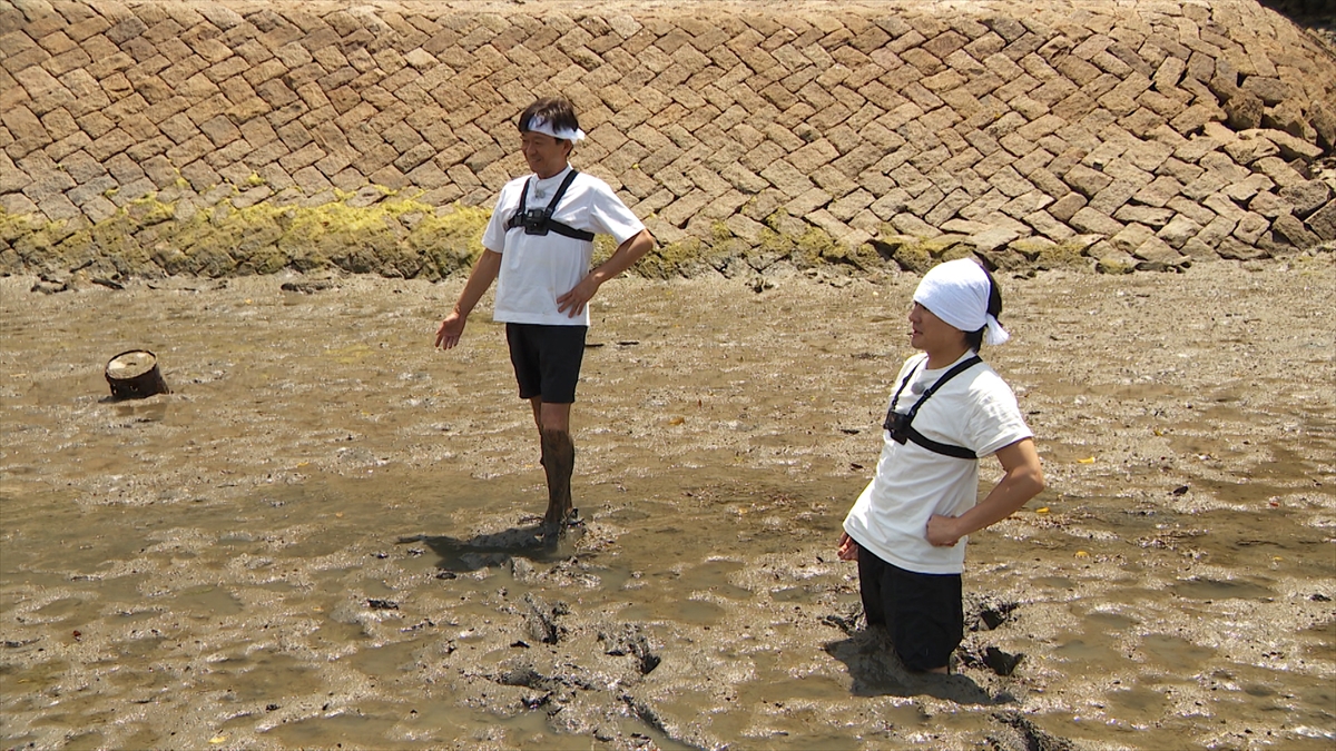 『ザ！鉄腕！DASH!!』