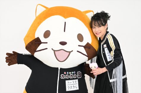 『あらいぐま カルカル団』