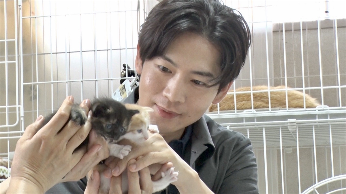 『嗚呼!!みんなの動物園3時間スペシャル』