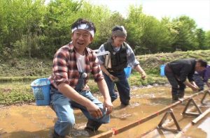 『ザ！鉄腕！DASH!!』