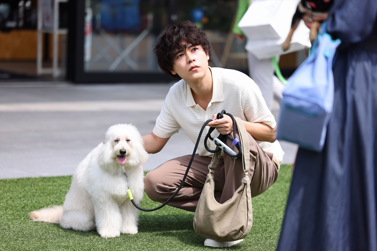 『初恋DOGs』