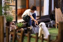 『初恋DOGs』