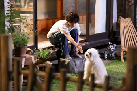 『初恋DOGs』