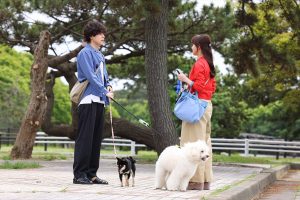 『初恋DOGs』