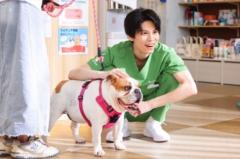 『初恋DOGs』
