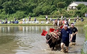 『遠くへ行きたい』