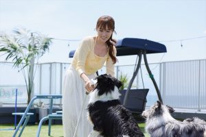 『初恋DOGs』