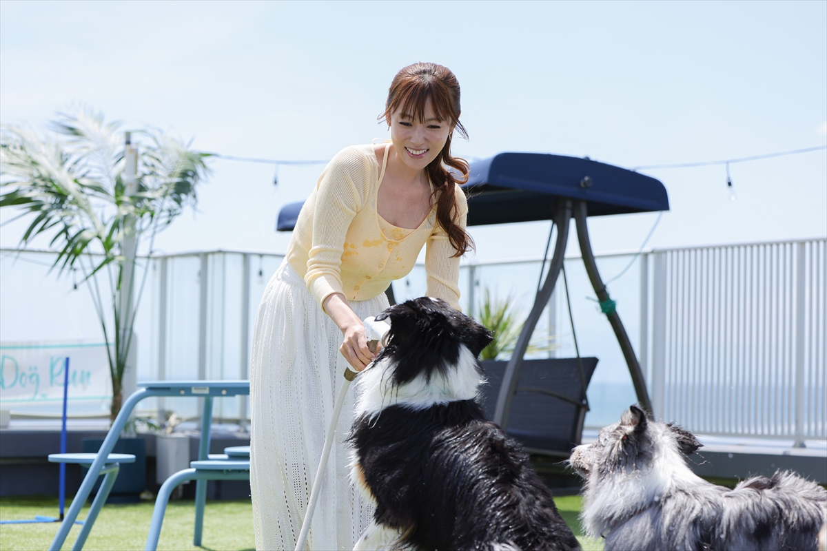『初恋DOGs』