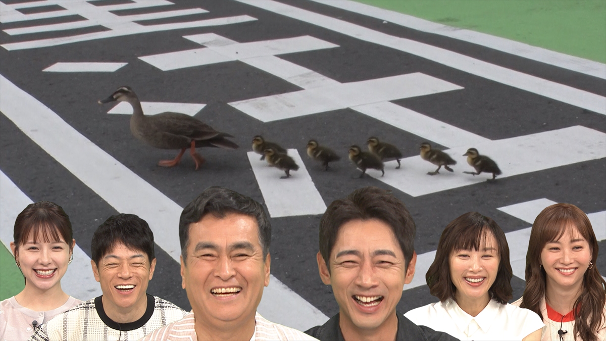 『日本探求アカデミックバラエティ　火曜の良純孝太郎』