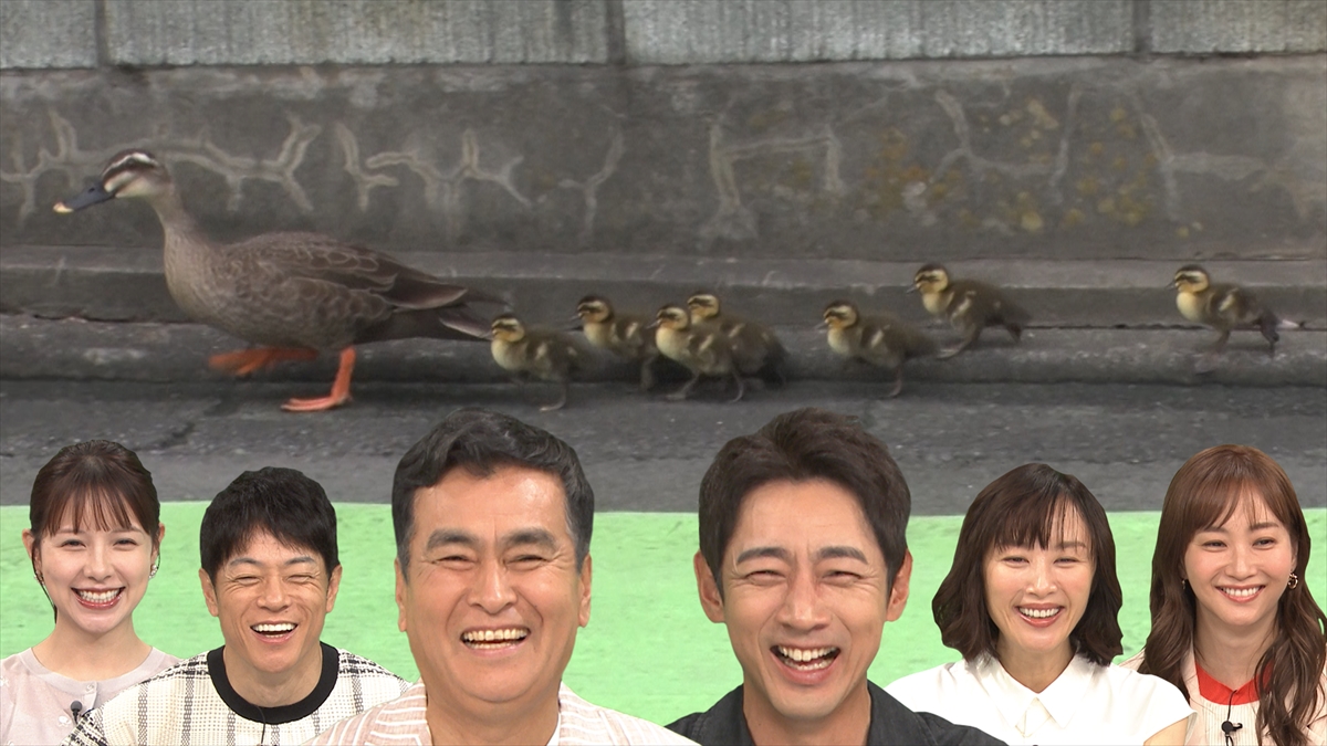 『日本探求アカデミックバラエティ　火曜の良純孝太郎』
