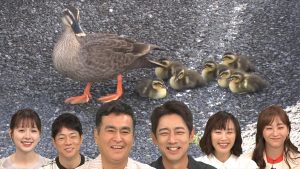 『日本探求アカデミックバラエティ　火曜の良純孝太郎』