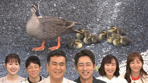 『日本探求アカデミックバラエティ　火曜の良純孝太郎』