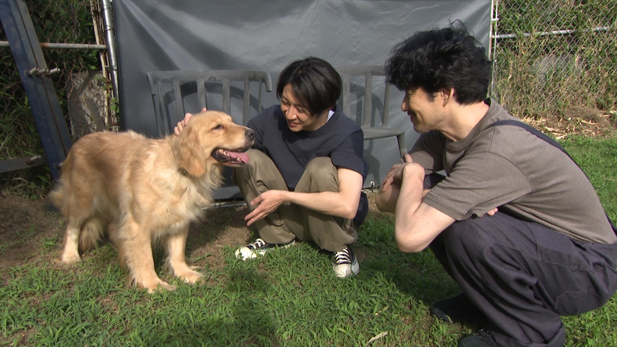 『嗚呼!!みんなの動物園』