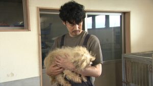 『嗚呼!!みんなの動物園』