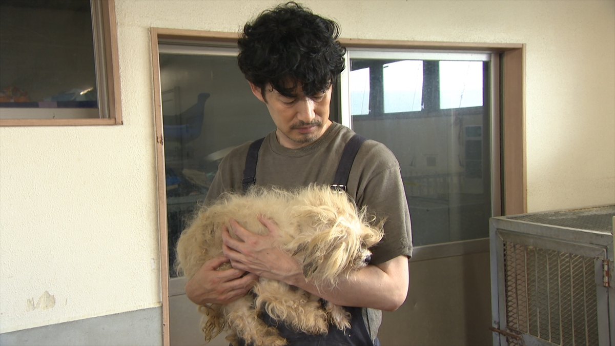 『嗚呼!!みんなの動物園』