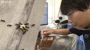 『科学の扉、開けちゃいました～理系京大生のステキな好奇心～』