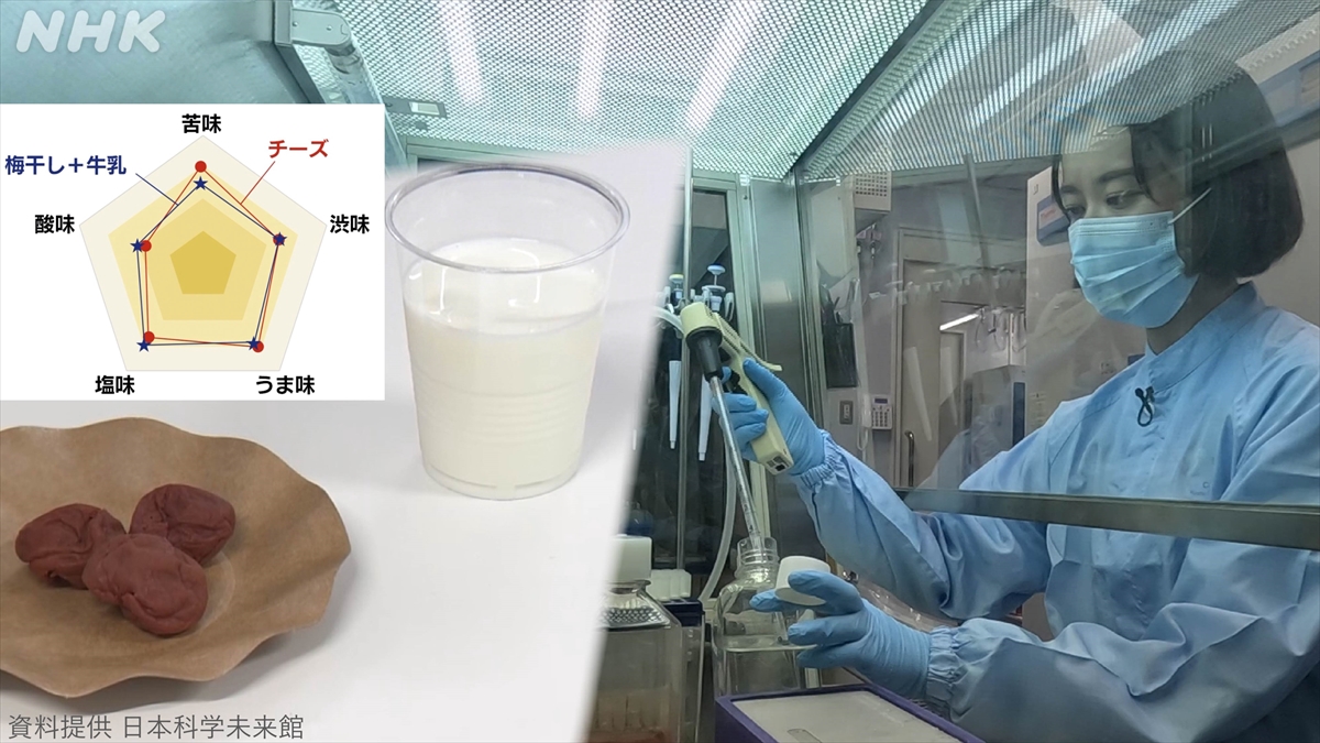 『科学の扉、開けちゃいました～理系京大生のステキな好奇心～』