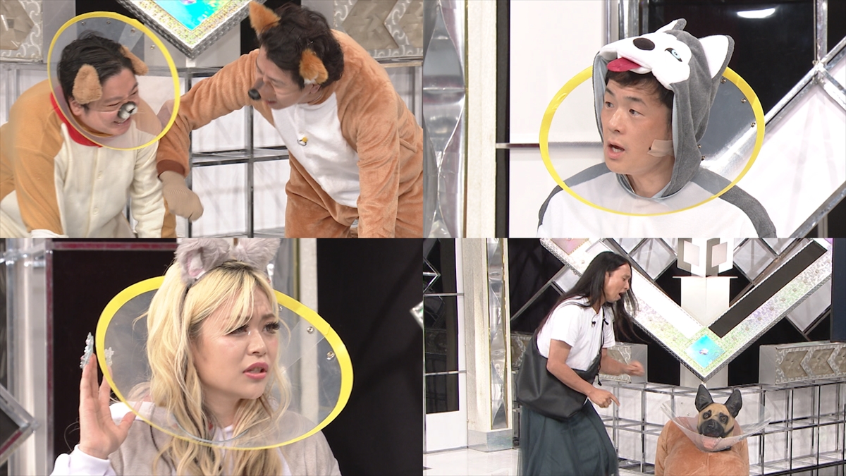 『コントラスト』