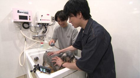 『嗚呼!!みんなの動物園2時間スペシャル』