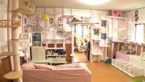 『笑える！泣ける！動物スクープ100連発』