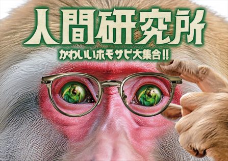 『人間研究所 ～かわいいホモサピ大集合!!～』