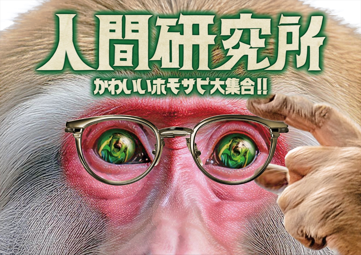 『人間研究所 ~かわいいホモサピ大集合!!~』