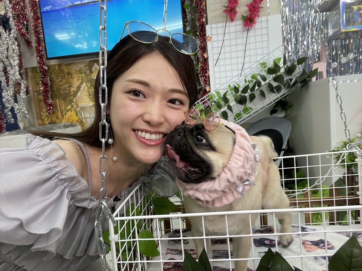 『ぐるぐるナインティナイン』