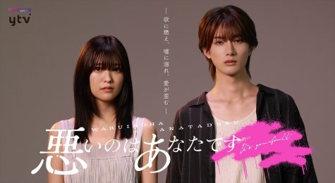 『悪いのはあなたです』