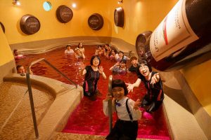 『有吉の壁　箱根の壁を越えろ！2時間SP』
