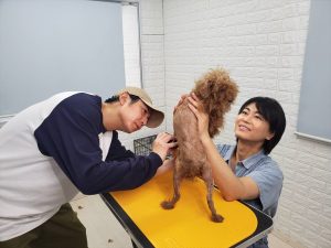 『嗚呼!!みんなの動物園3時間スペシャル』