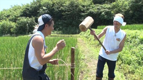 『ザ！鉄腕！DASH!!』